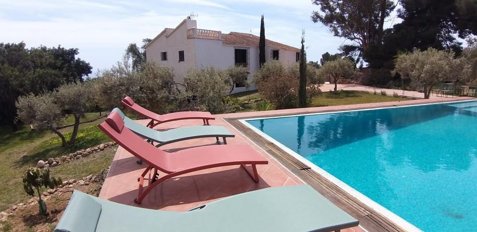 Natural landscape, Pool view, Swimming pool, sunbed