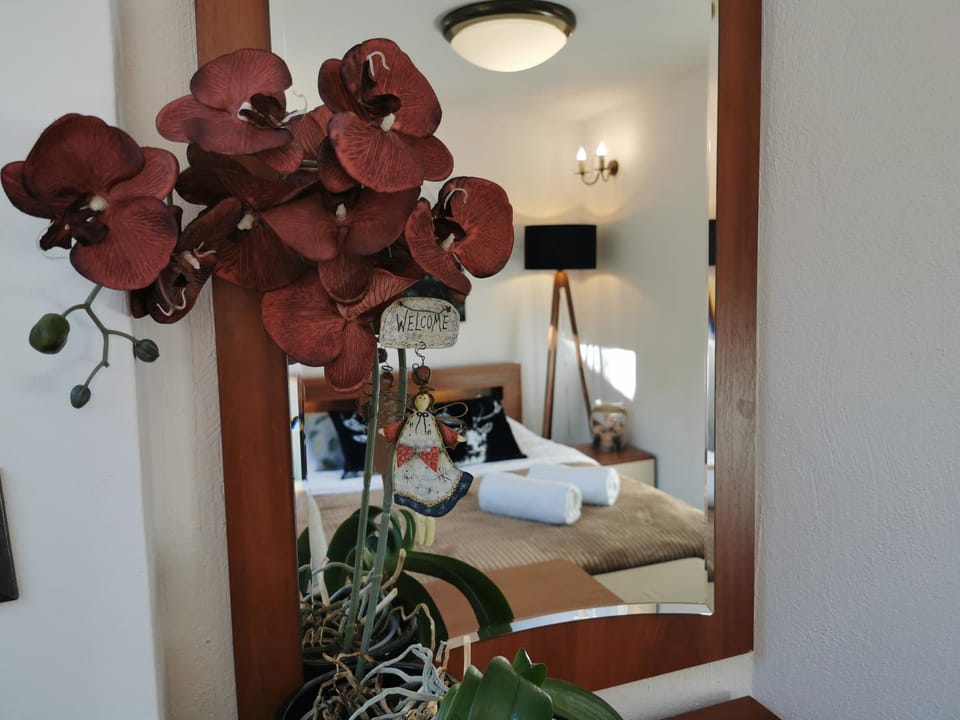 Kryształowy Apartament z pięknym ogrodem w centrum uzdrowiska Apartment in Lower Silesian Voivodeship
