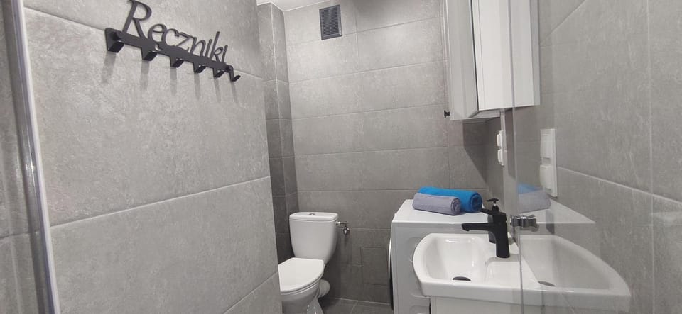 Toilet, Bathroom, towels