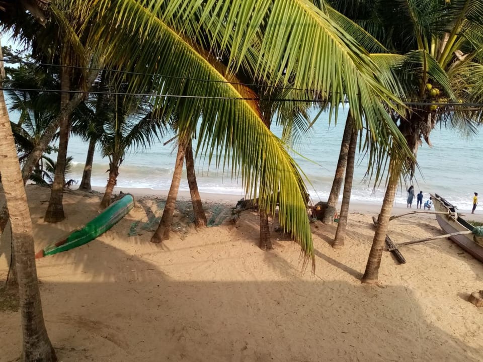 View (from property/room)