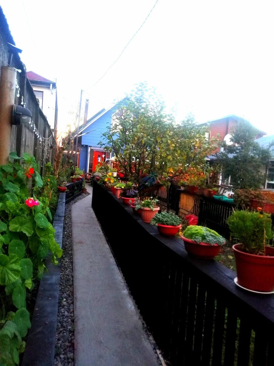Garden, Garden view