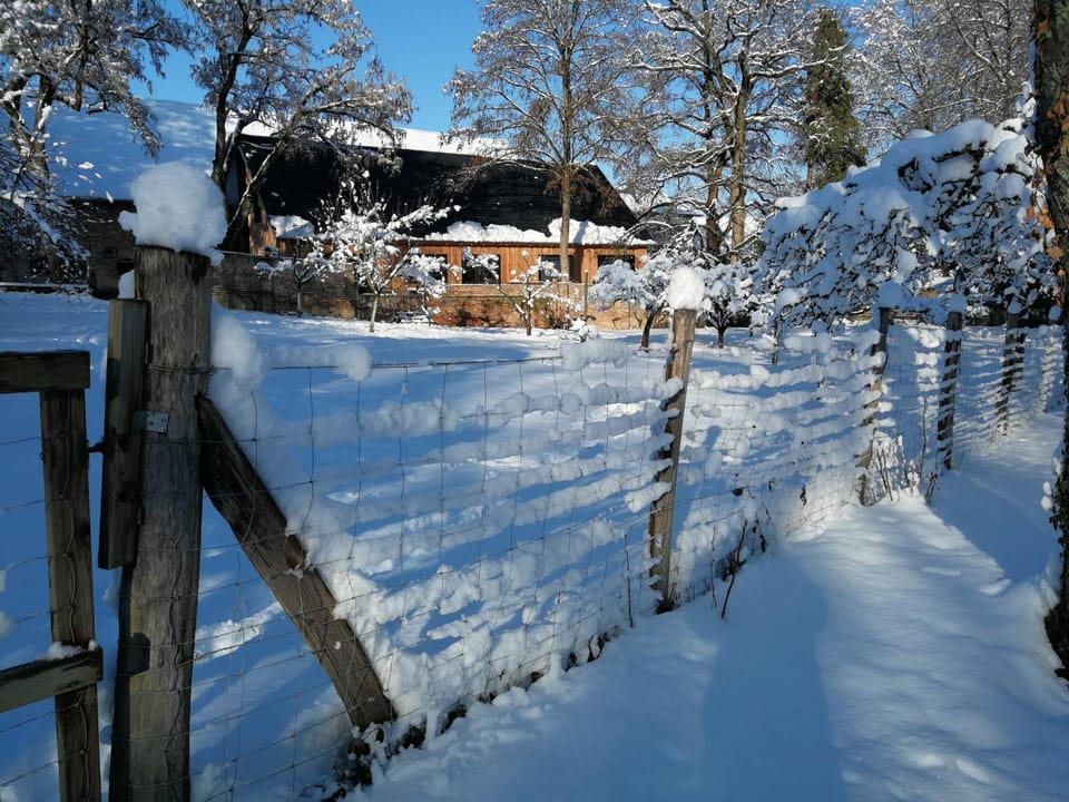 Maison spacieuse et cosy à la campagne proche de Strasbourg et de l'aéroport House in Baden-Württemberg
