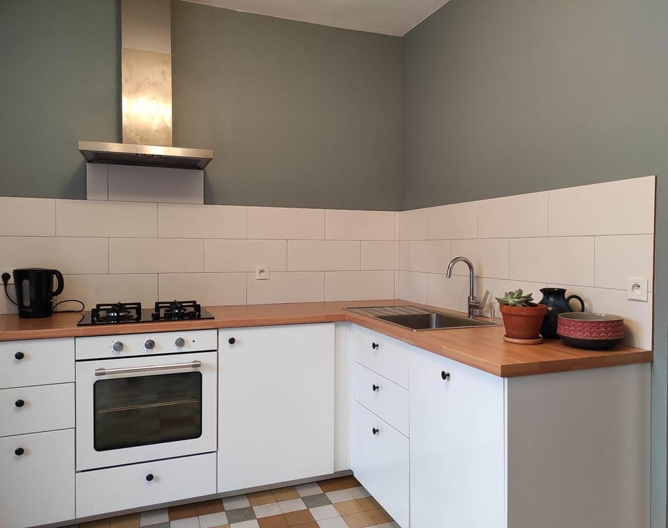 Coffee/tea facilities, Kitchen or kitchenette, minibar, pet friendly, stove