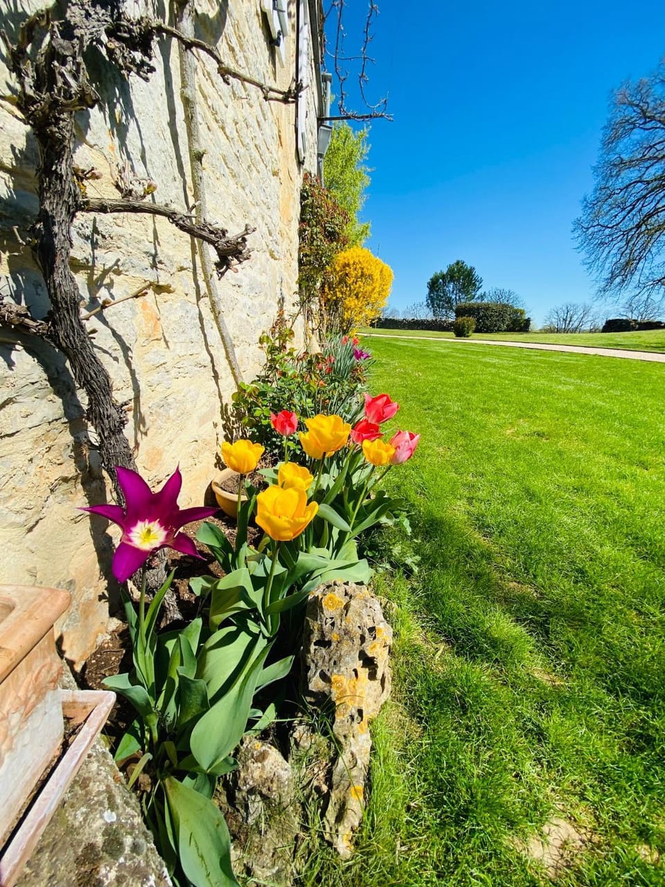 Spring, Day, Natural landscape, Garden, Garden, Garden view