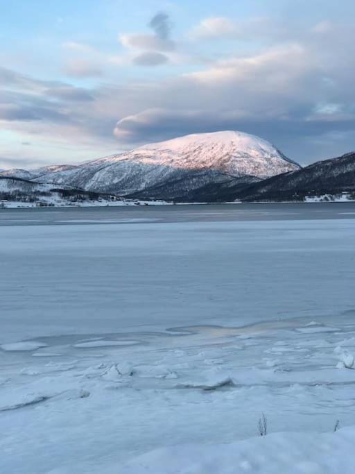 Trivelig fritidshus på Årnes, Senja House in Nordland, Norway