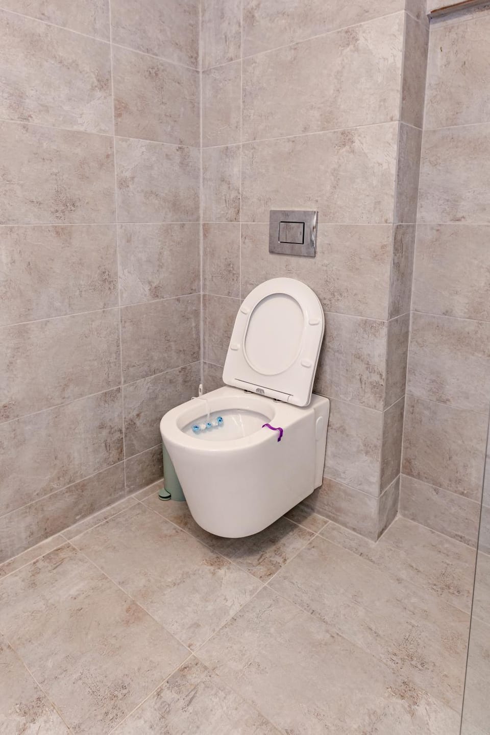 Pensiunea Axa Alex Bed and Breakfast in Romania