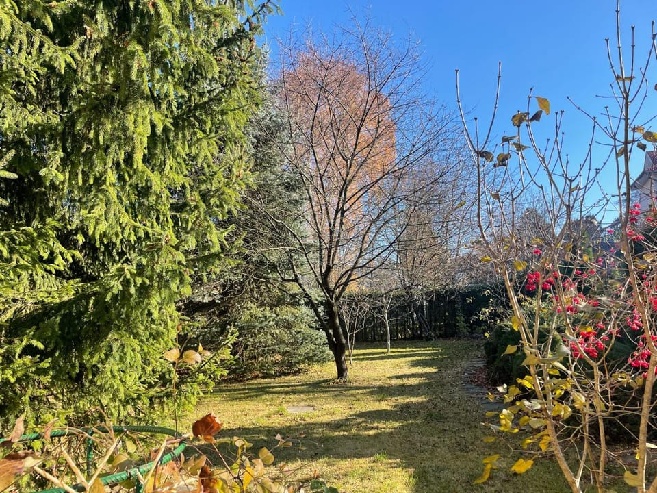 Garden, Garden view