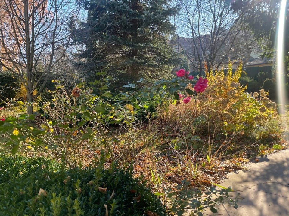 Spring, Natural landscape, Garden, Garden view