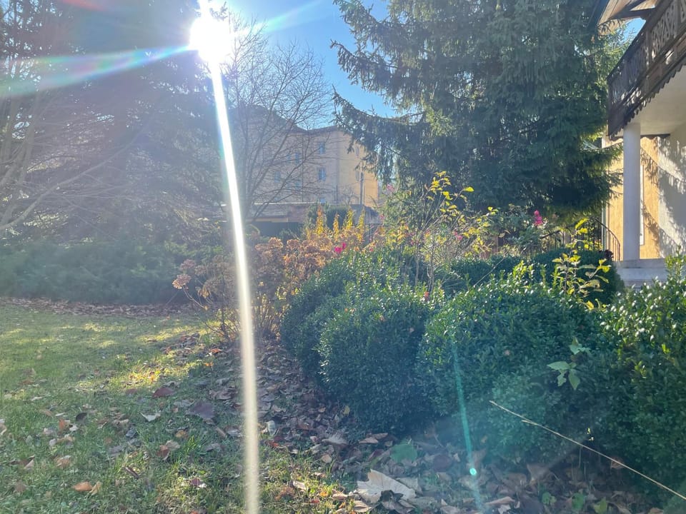 Natural landscape, Garden, Garden view