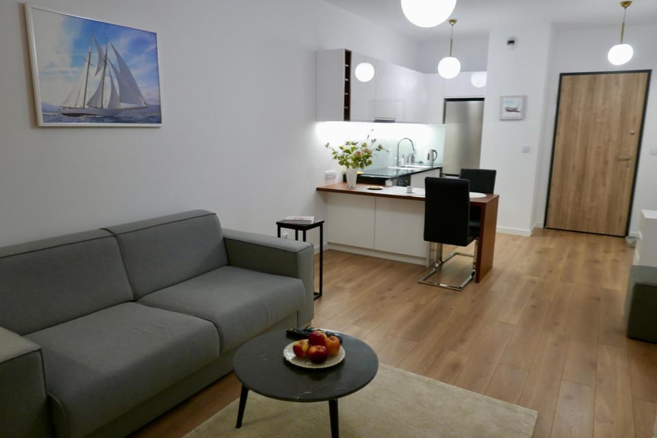 Living room, kitchen