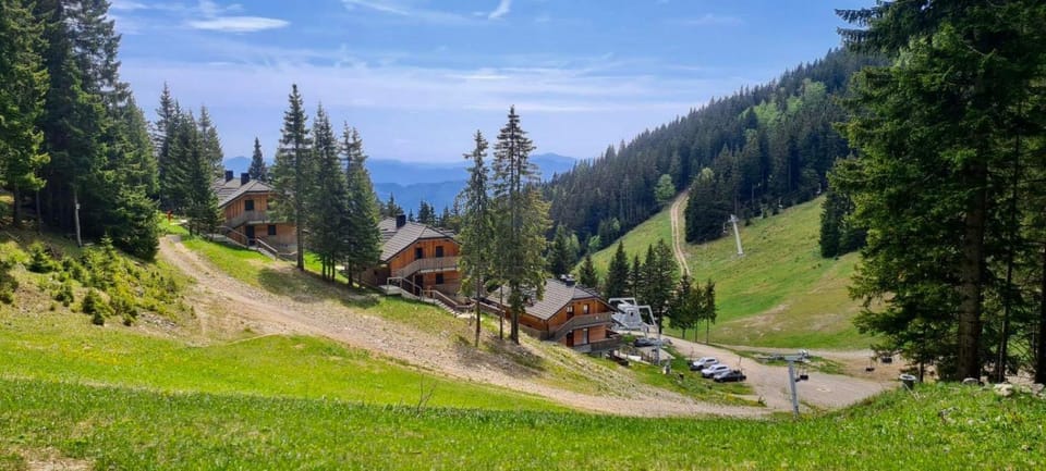 Day, Neighbourhood, Natural landscape, Hiking