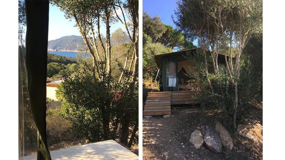 LA TERRASSE DES LAURIERS SUR L'ÎLE DU LEVANT Apartment in Hyères