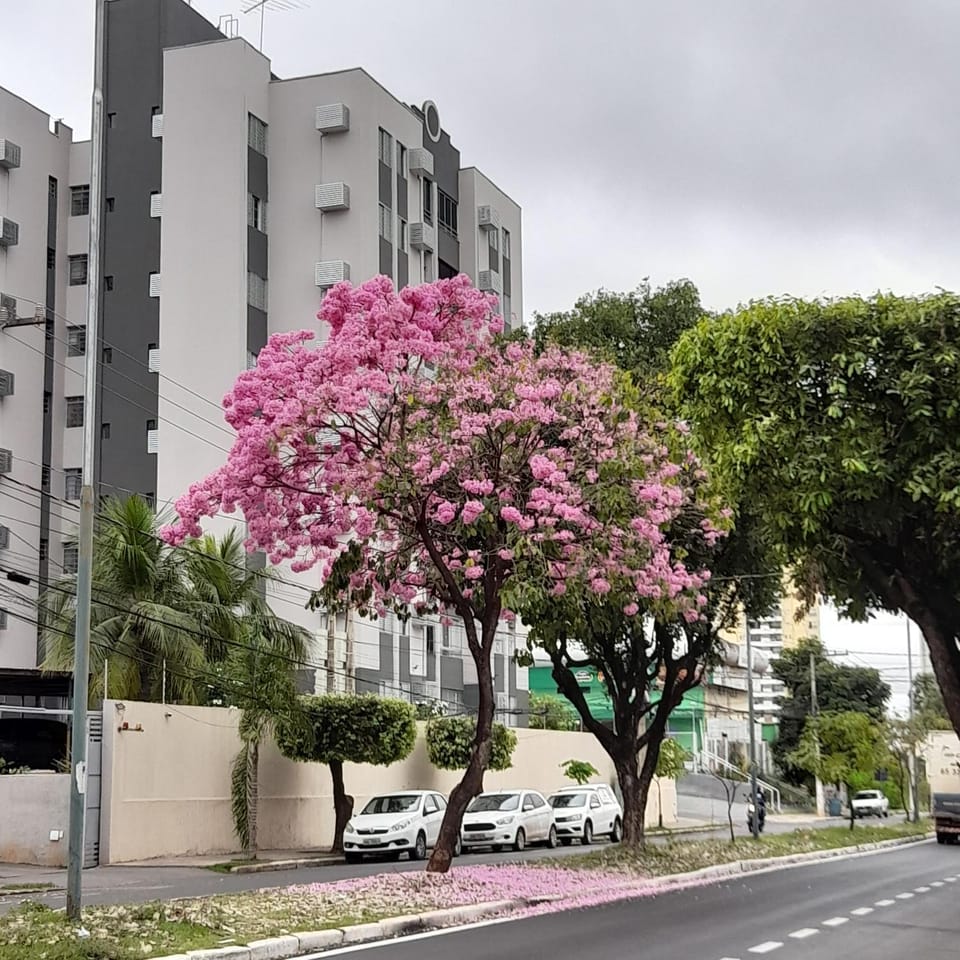 Quarto em Apto ao lado Shopping Apartment in State of Mato Grosso, Brazil