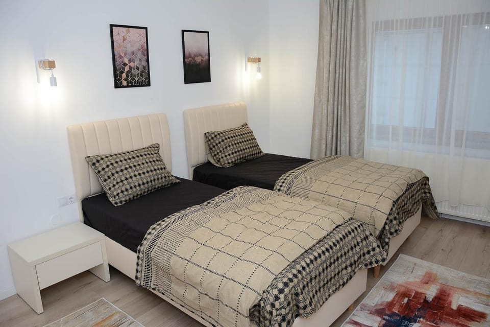 Vila Aras Bed and Breakfast in Romania