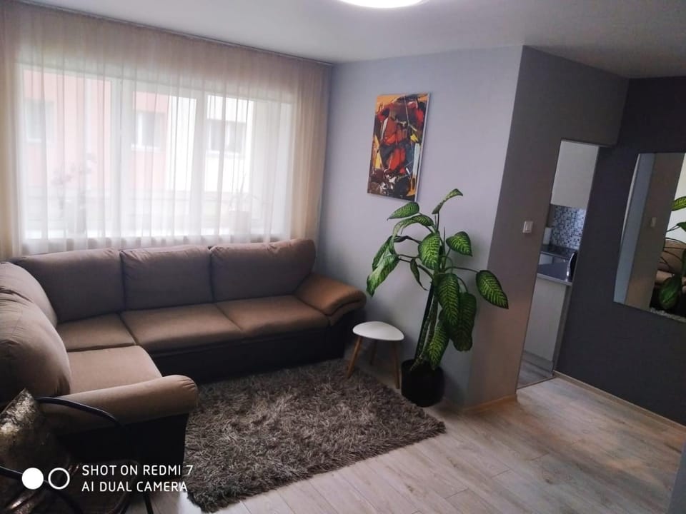 Аппартаменты в центре Олайне для комфорта. Apartment in Latvia