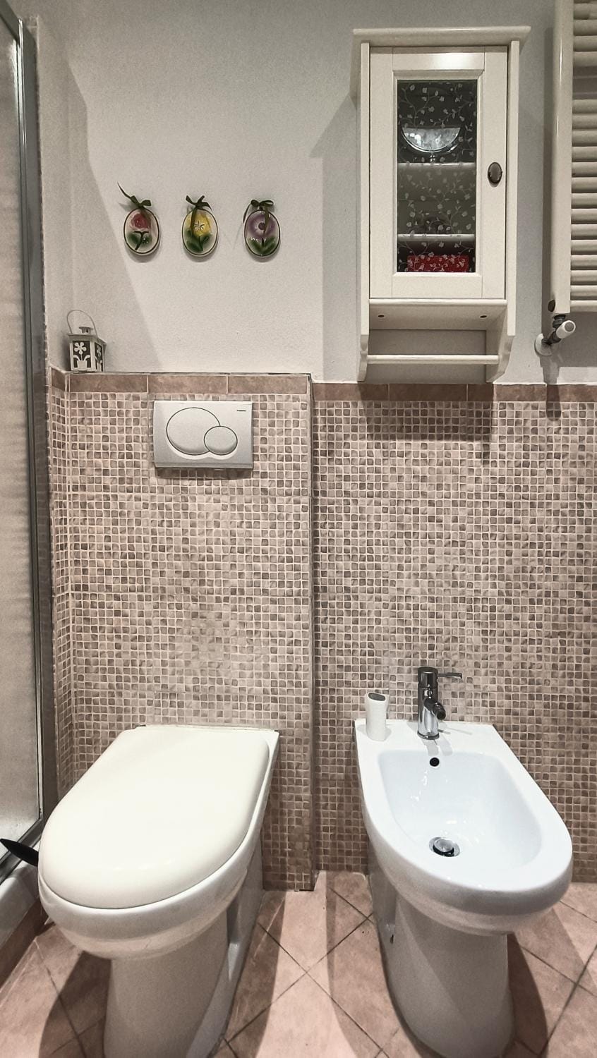 Toilet, Bathroom, bidet