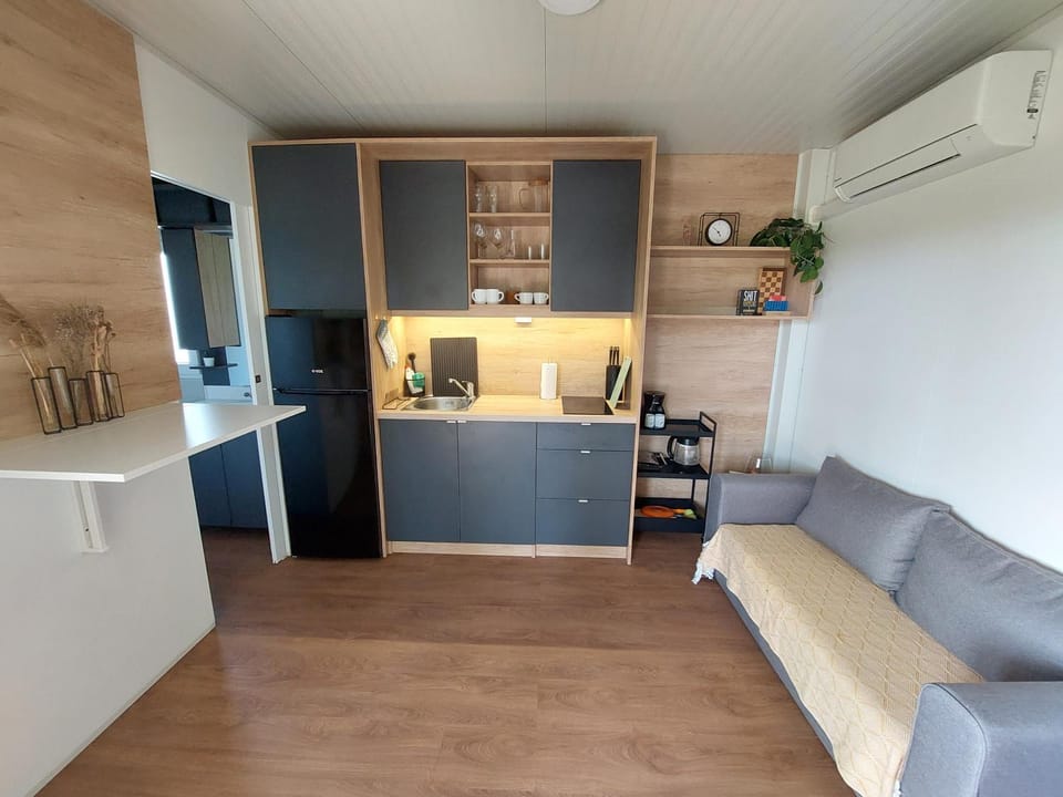 Living room, kitchen