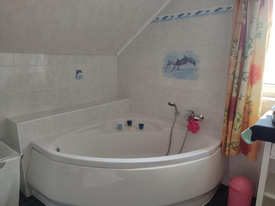 maison au bord du bois toute équipée avec jaccuzzi House in Belgium