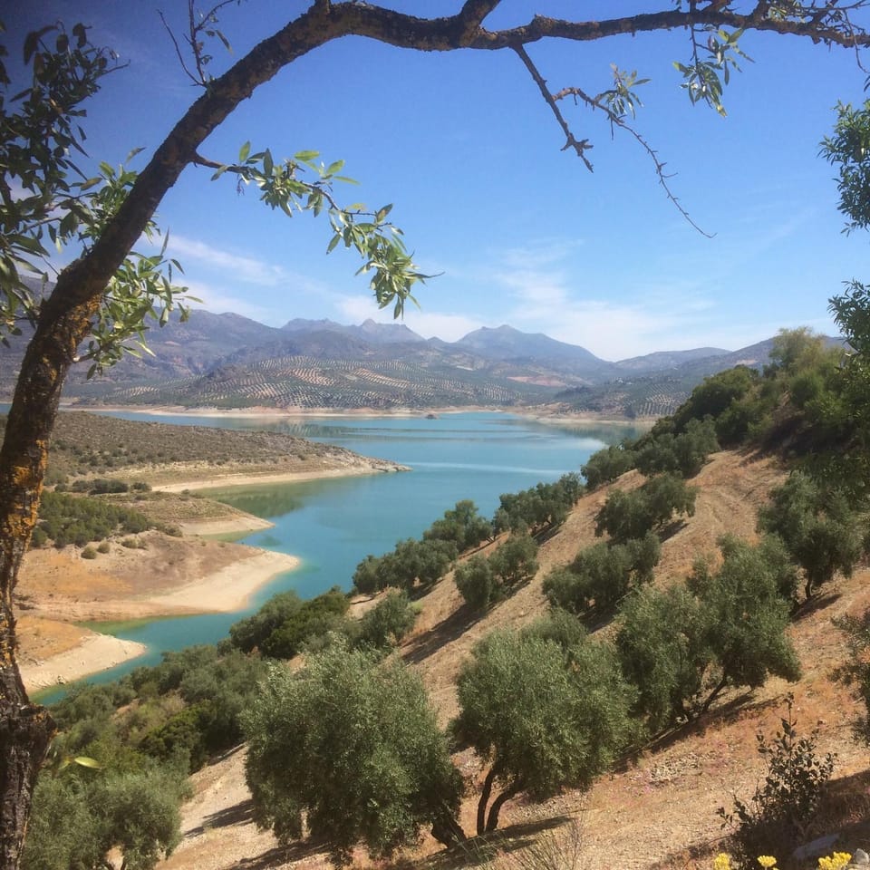 Natural landscape, Lake view