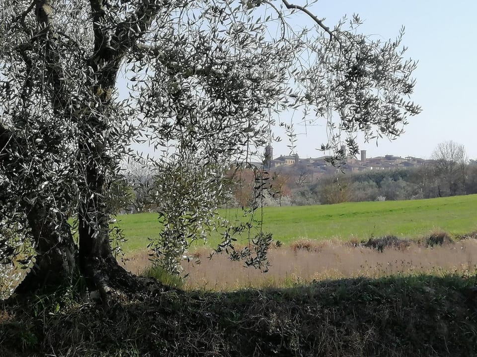 Natural landscape, City view