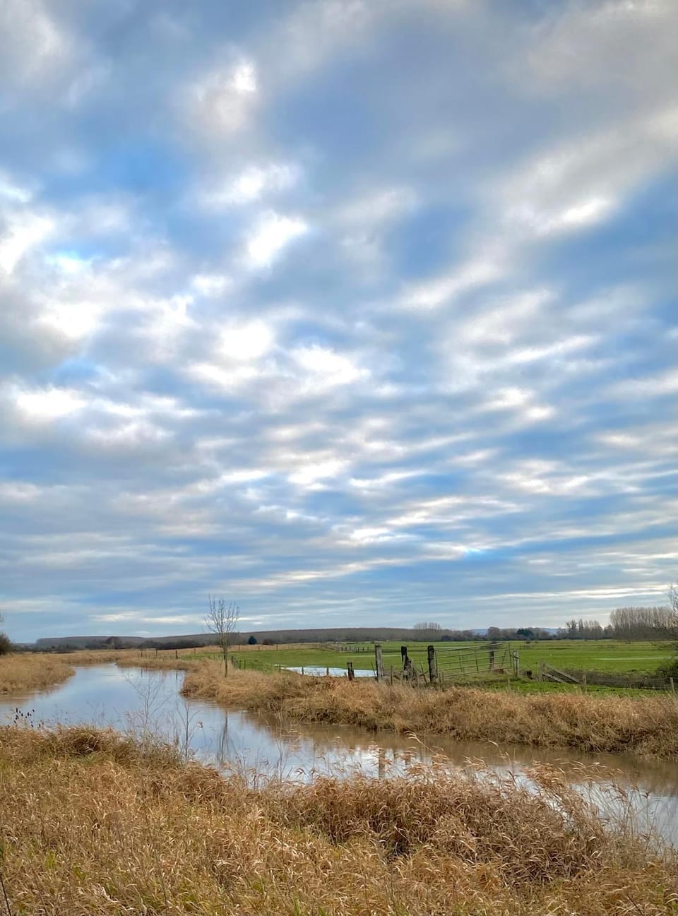 Natural landscape