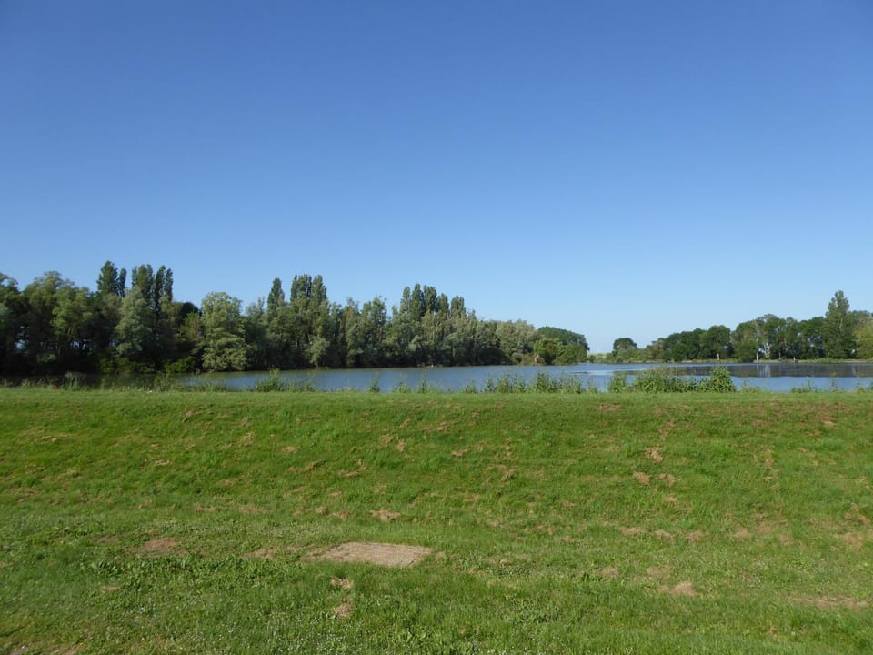 Natural landscape