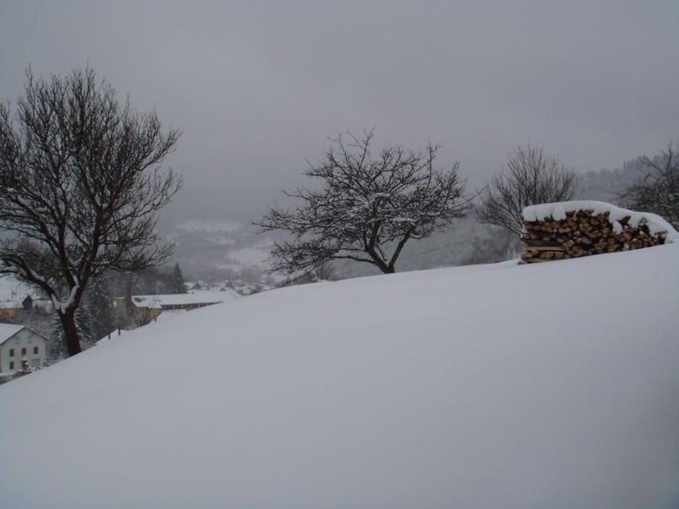 Garden, Garden view