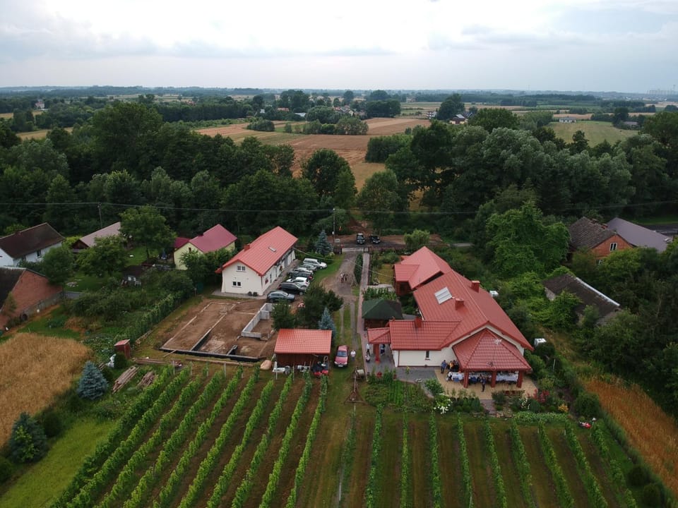 Property building, Bird's eye view