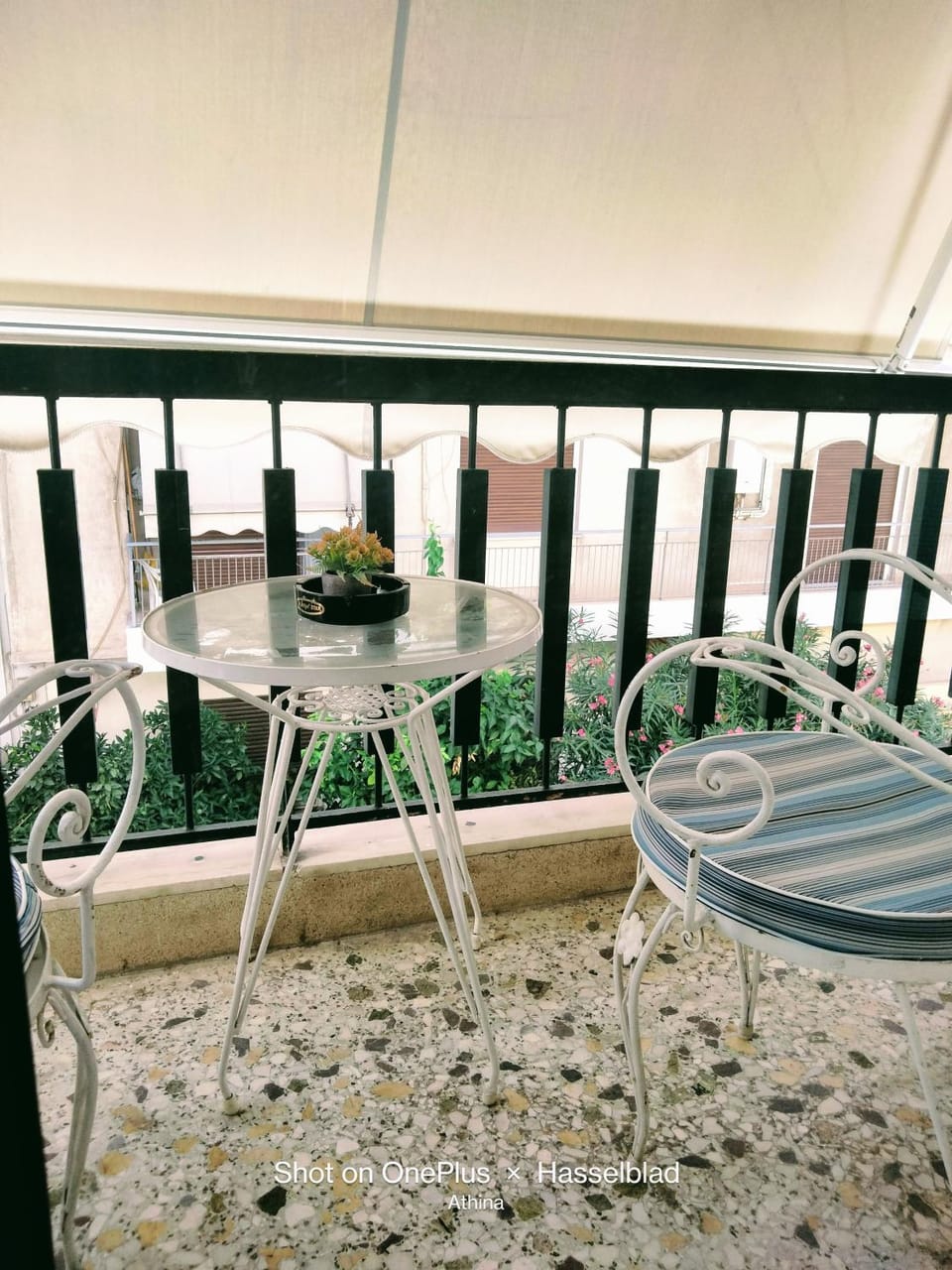 Balcony/Terrace, Garden view