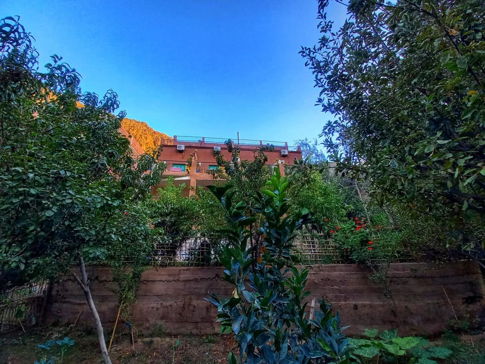 Property building, Spring, Day, Garden, Garden view