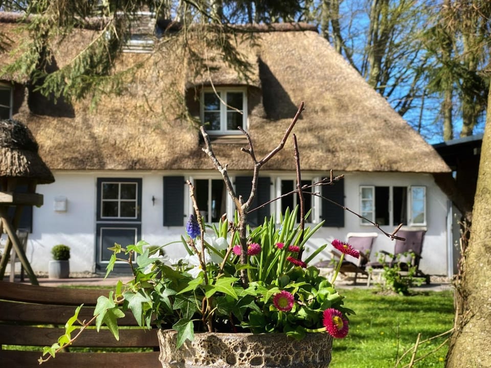 Küstenwäldchen House in Kappeln