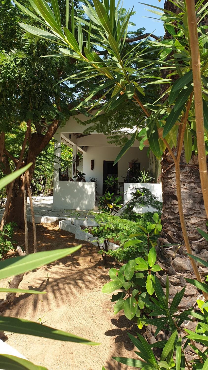 Property building, Patio