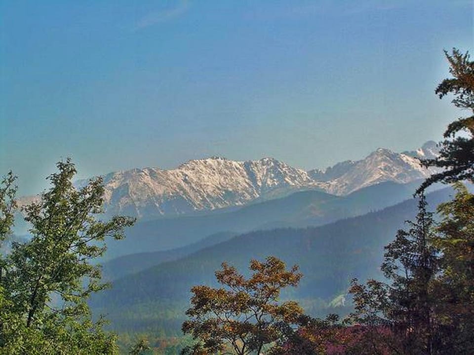 Mountain view