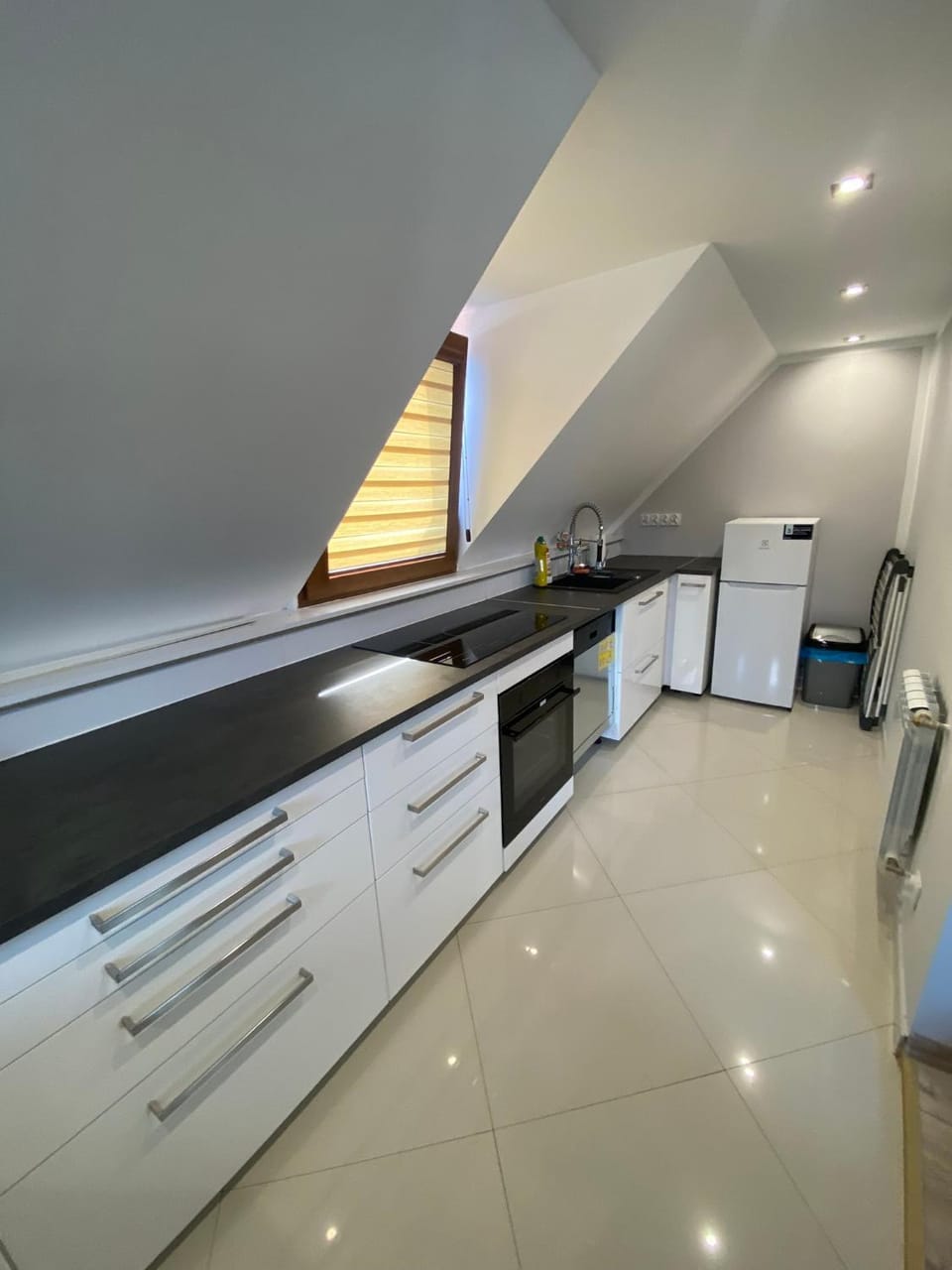 Kitchen or kitchenette, dishwasher, minibar, pet friendly, stove