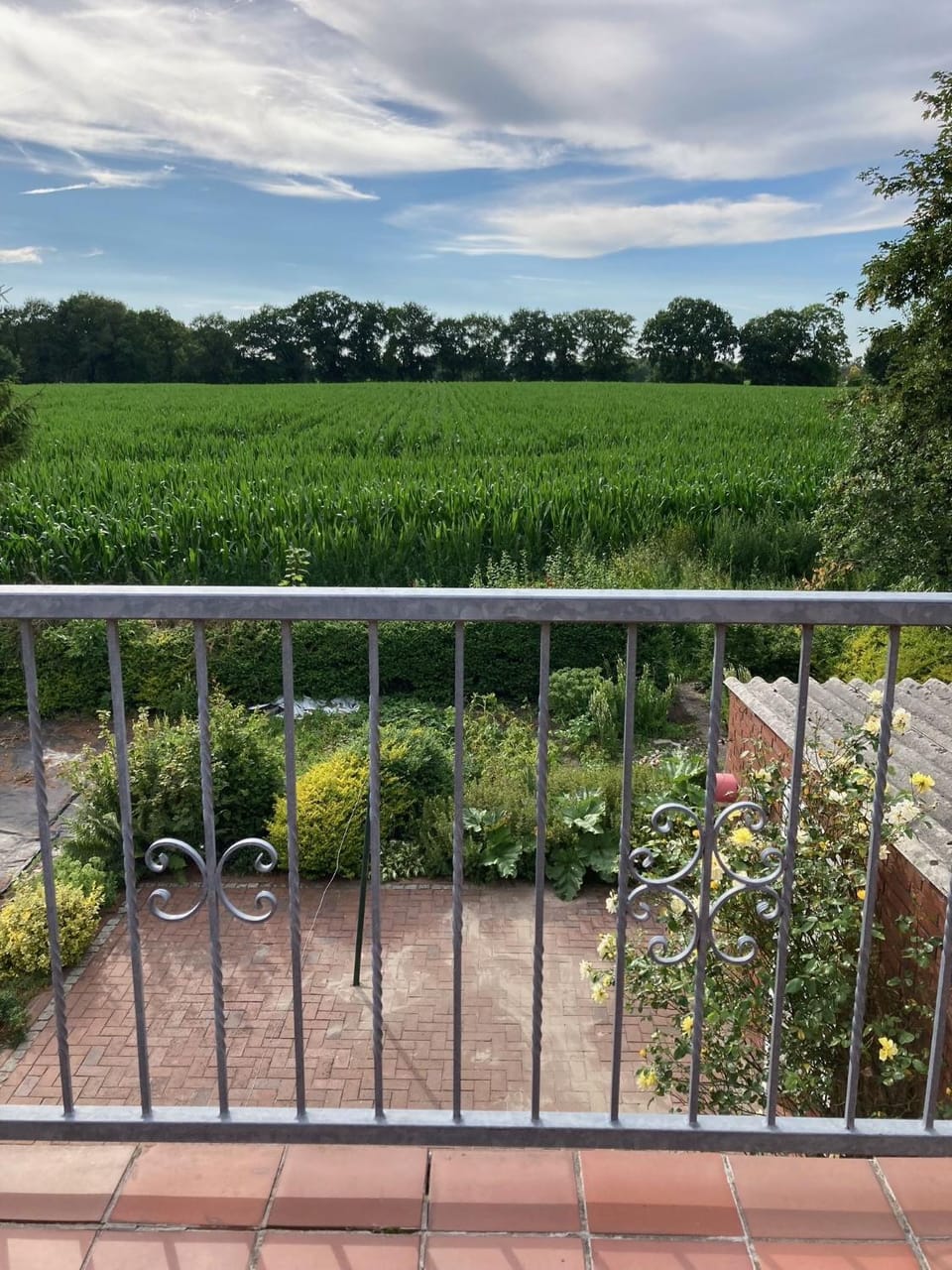 View (from property/room)