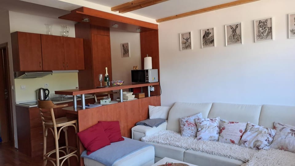 Mezonetový apartmán v Osčadnici Apartment in Slovakia