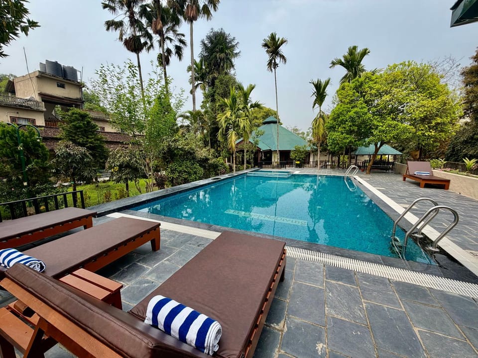 Day, Garden, Garden view, Pool view, Swimming pool, sunbed
