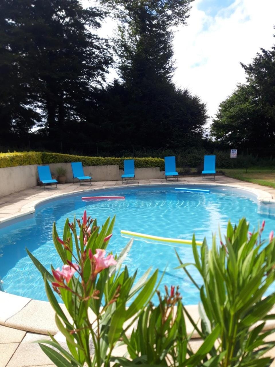 Garden, Pool view, Swimming pool