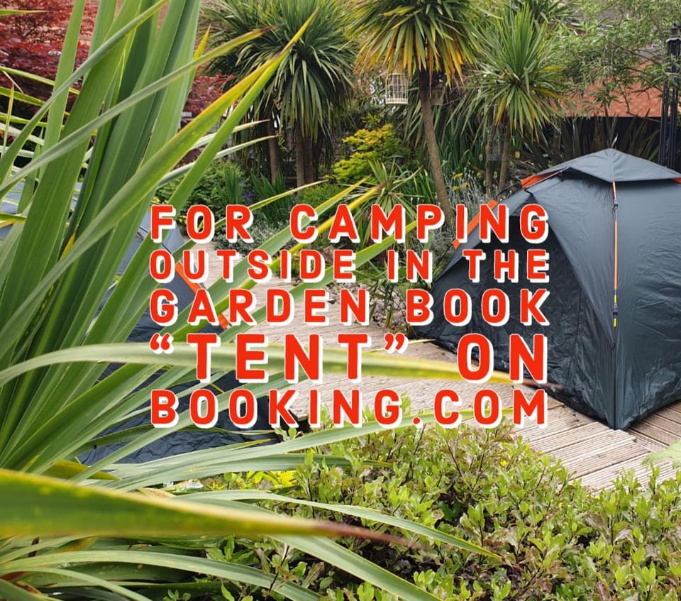 Natural landscape, Garden, Garden view