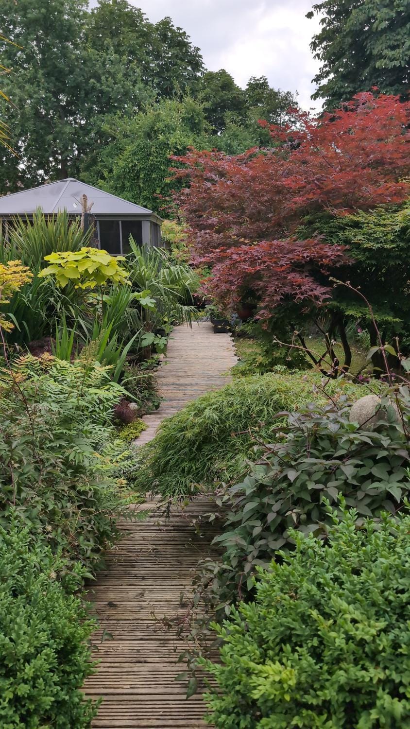 Natural landscape, Garden, Garden view