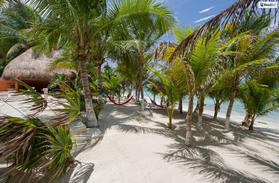 Mansion in Soliman Bay for 34 guests! House in State of Quintana Roo