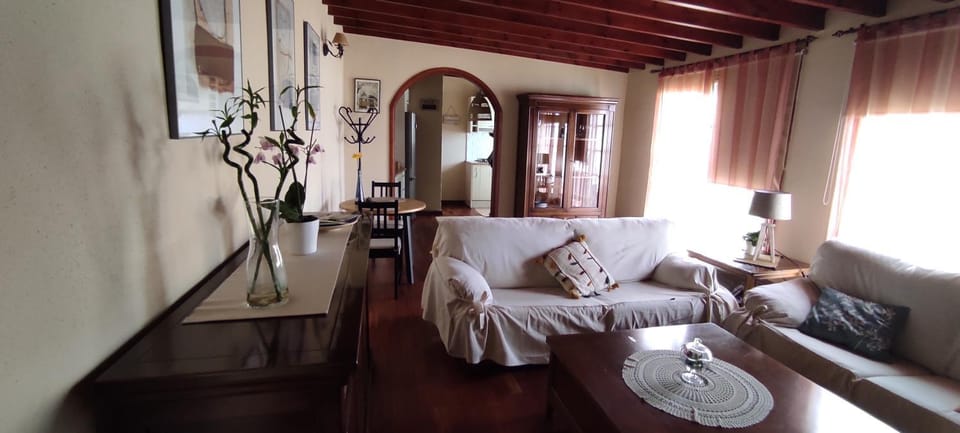 Ático El Marquito Apartment in La Palma