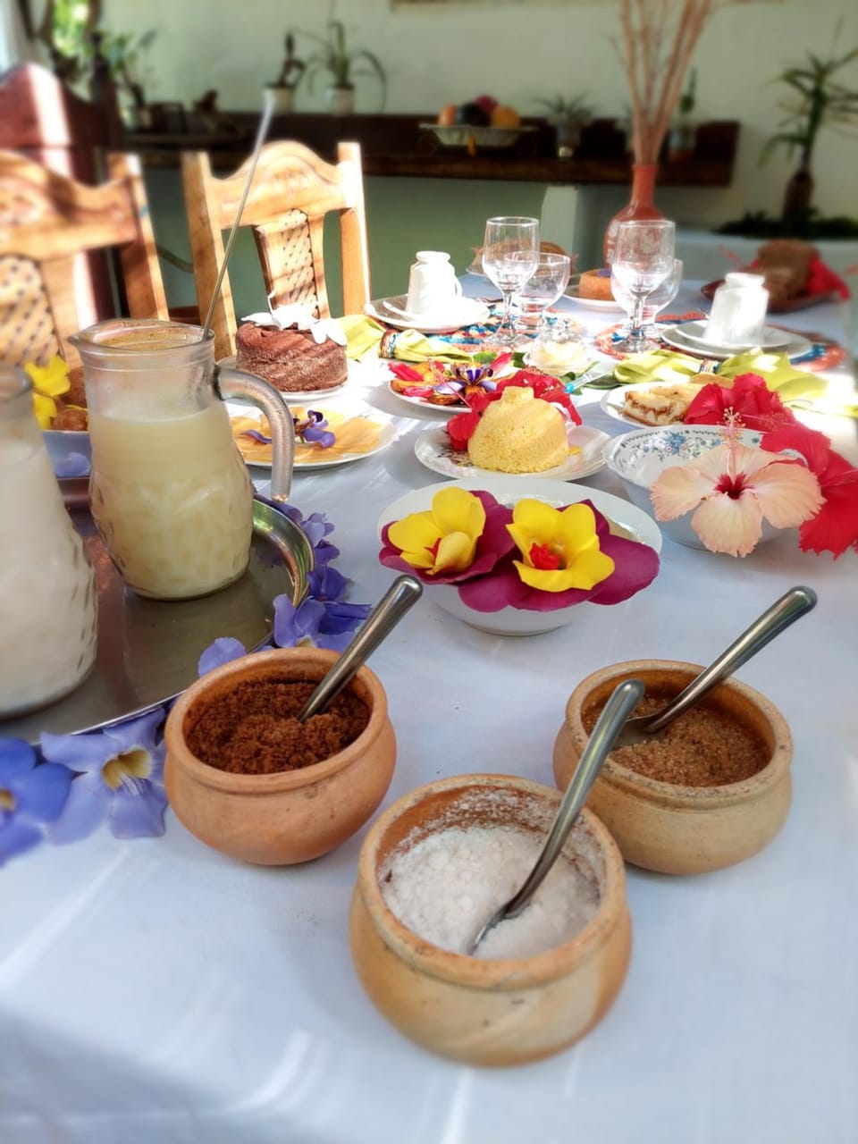 Guest House Boki da Zezé Bed and Breakfast in State of Bahia