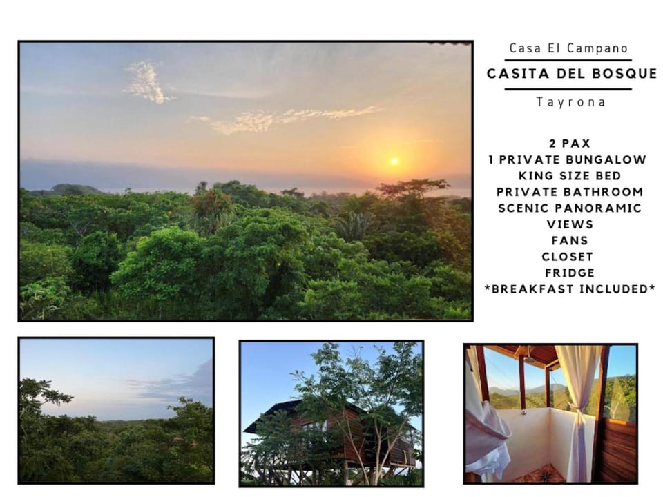 Casa del Bosque Tayrona Nature lodge in Magdalena, Colombia