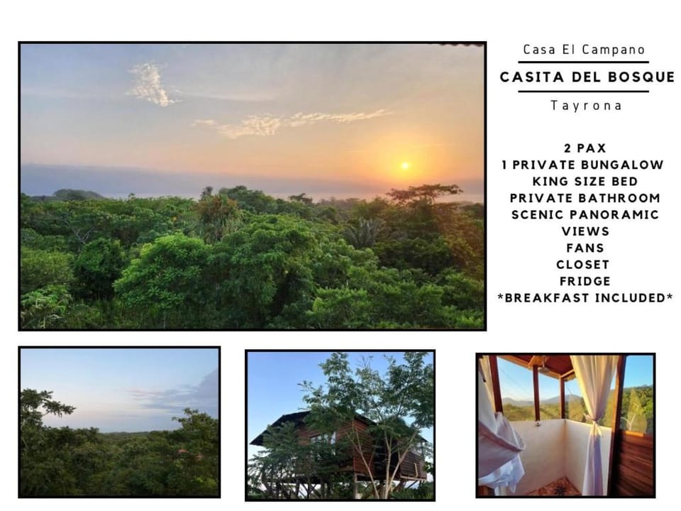 Casa del Bosque Tayrona Nature lodge in Magdalena, Colombia