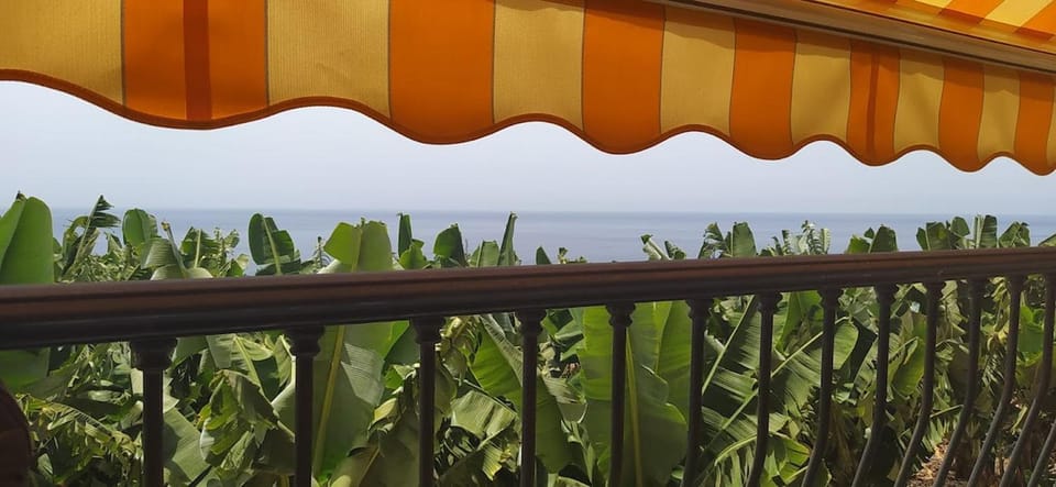 Caracol Trail Mountain La Palma - junto a Trbol Apartment in Tazacorte
