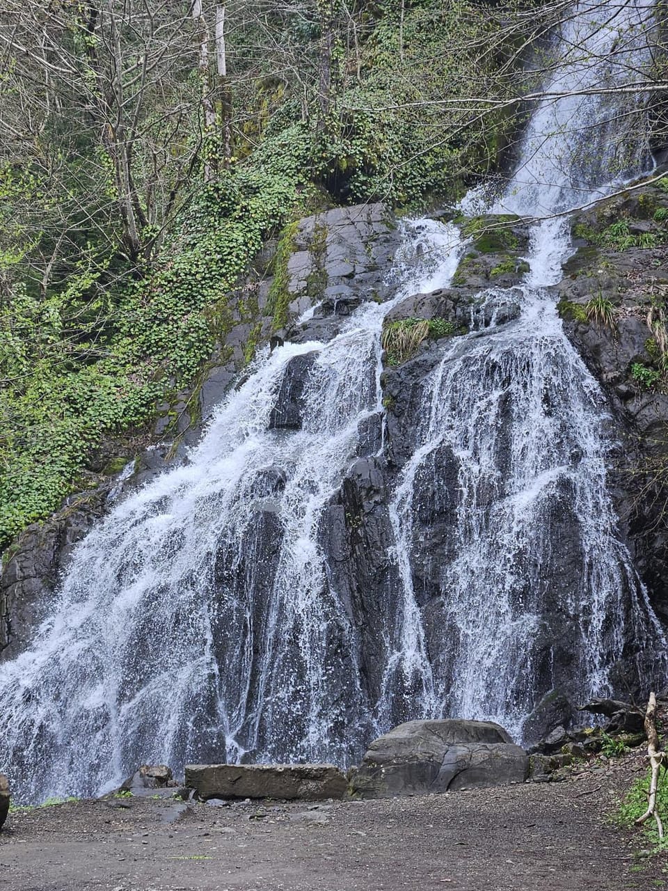 Natural landscape