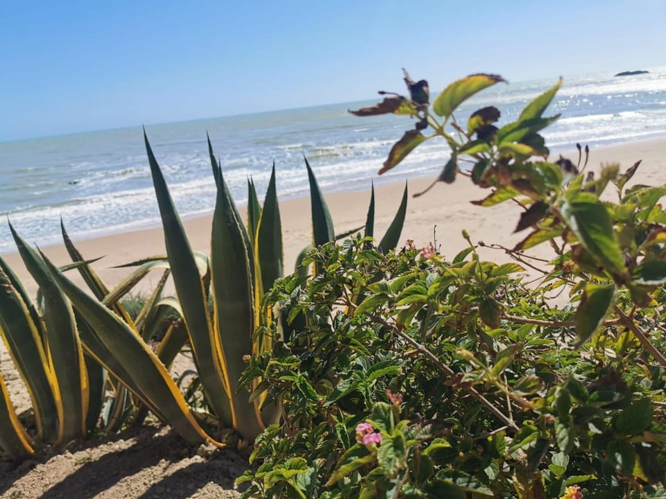 Sea view
