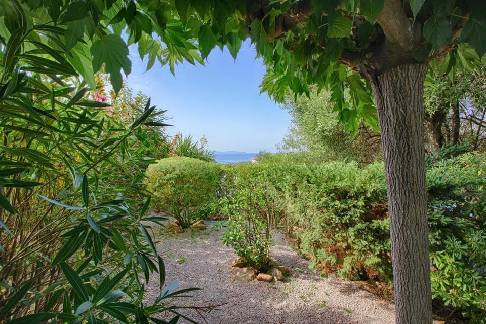 Natural landscape, Garden, Sea view