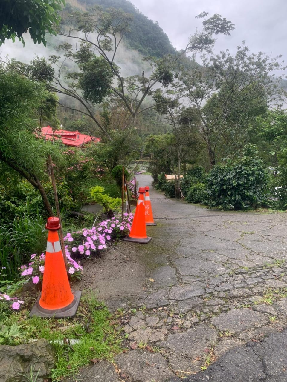 鳳仙花民宿 Bed and Breakfast in Kaohsiung